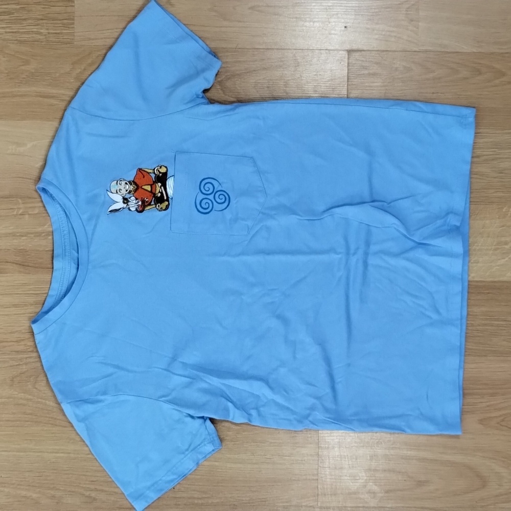 Nickelodeon Box Lunch Embroidered Avatar The last Airbender